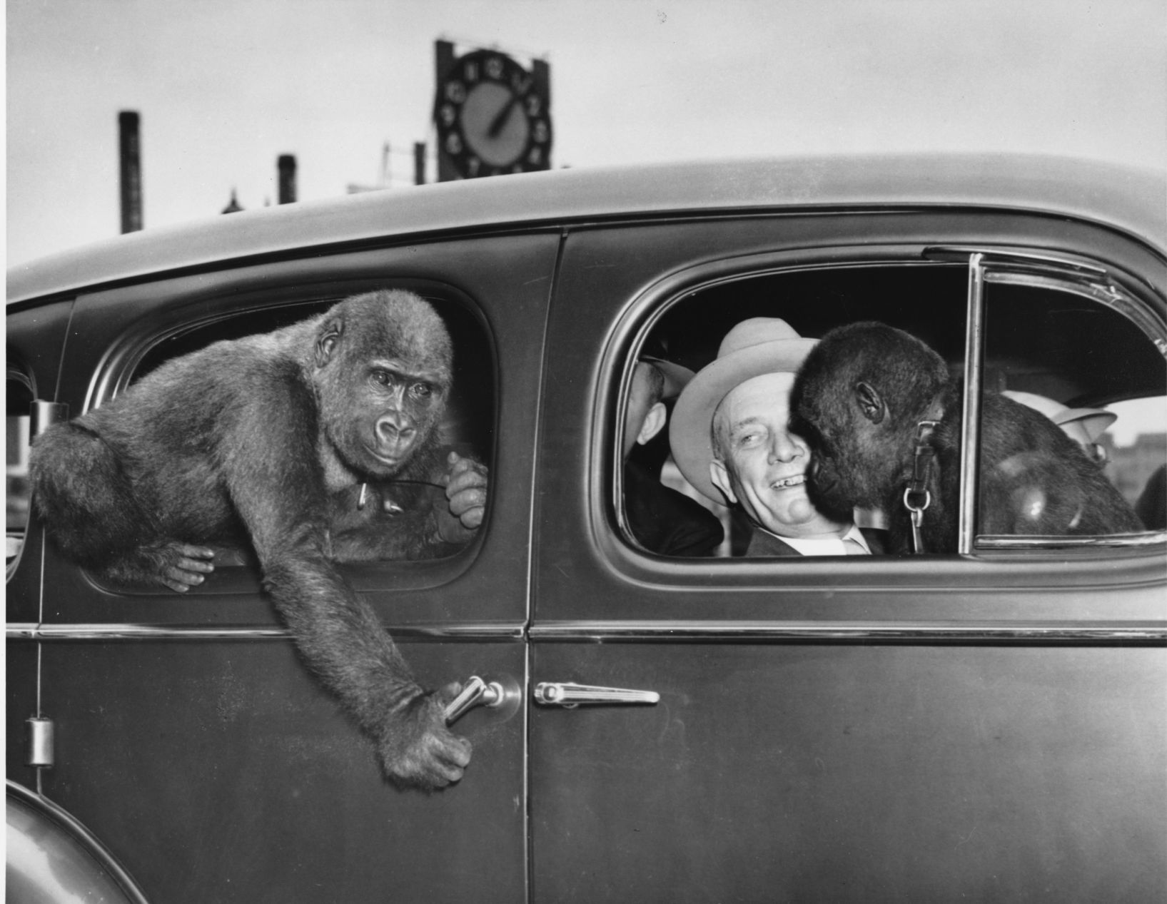 1938: The St. Louis Zoo
